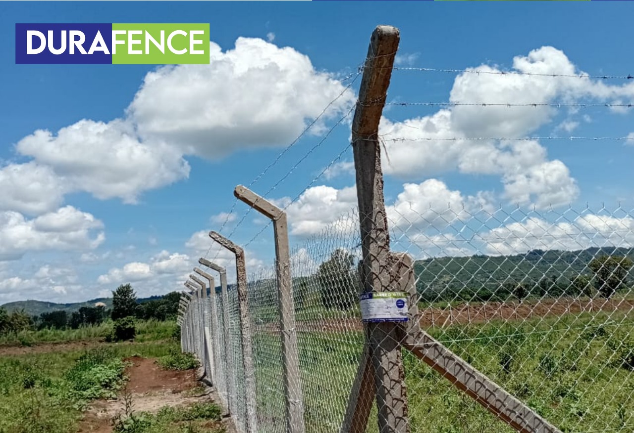 The Essential Guide to Chainlink Fencing in Kenya: Uses, Benefits, and  Installation Tips - Durafence Kenya