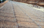 Gabion & Reno Mattresses - Image 7